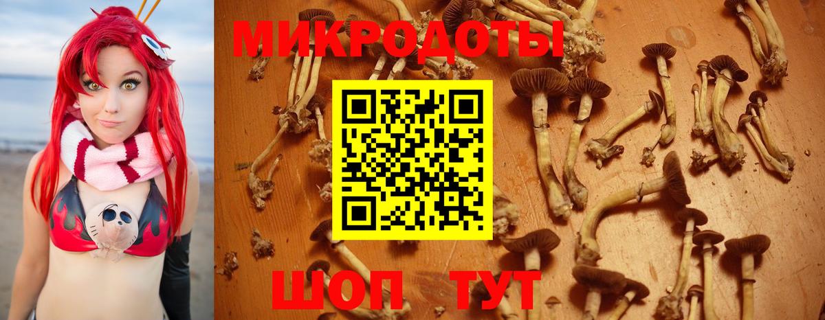 Россошь  Псилоцибиновые грибы Psilocybe  Вход с VPN 